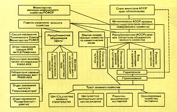 Рис. 5. Проектируемая организационная структура зеленого хозяйства РСФСР