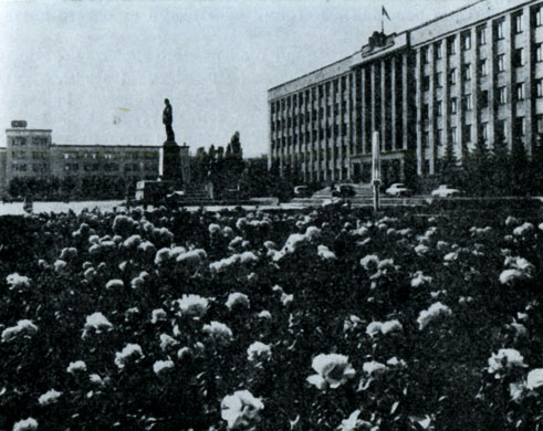 Рис. 7. Розарий на площади имени В. И. Ленина в г. Ставрополе