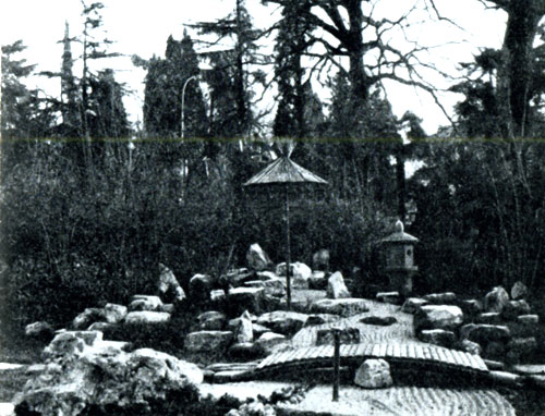 Рис. 32. Фрагмент «Японского сада» в г. Сочи