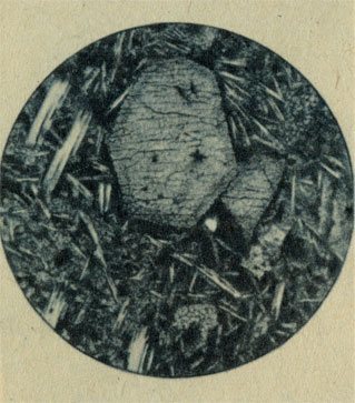 Рис. 17. Шлиф базальта под микроскопом