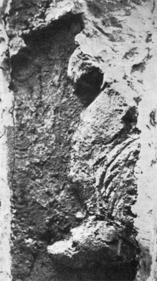 Рис. 44. Фрагмент изображения грифона. Глиняный барельеф; Зал оленей