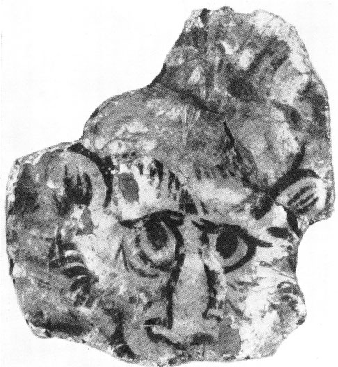 Рис. 68. Голова тигра. Фрагмент росписи, найденный в помещении 39 (первоначально в стенописи помещения II-2)