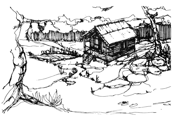 Рис. 3. Правильное расположение деревянного дома в тенистом месте среди деревьев