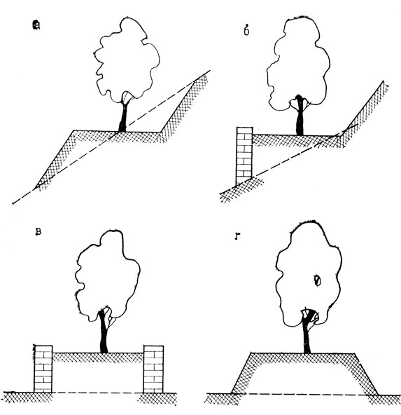 Рис. 46. Защита деревьев при понижении почвенного профиля: а, б - при одностороннем понижении; в, г - при двухстороннем понижении